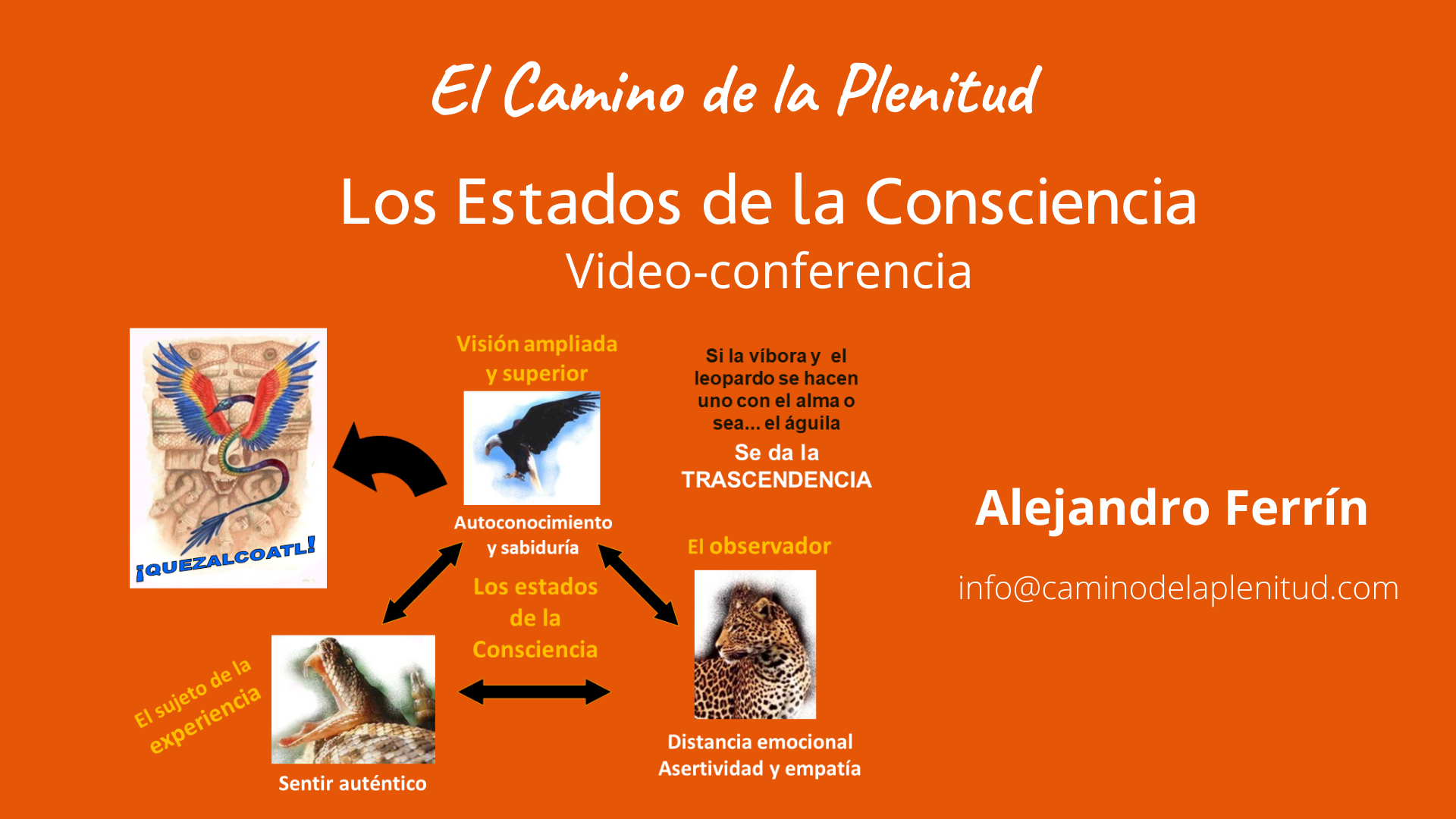 Los Estados de Consciencia Videoconferencia